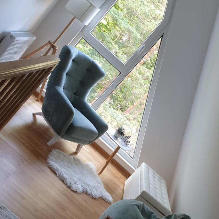 Apartman Divcigora Sokic - Apartman sa 1 Spavaćom Sobom - 1