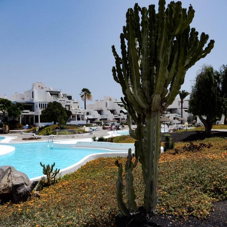 Aire del Mar-Los Molinos - Loft - 4