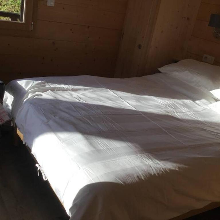 Modern Comfortable Chalet with large terrace - Appartement 3 Chambres - 7