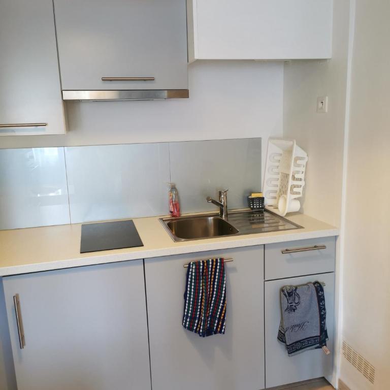 STUDIO 2 étoiles Rénové Proche des THERMES - Appartement 1 Chambre - 17