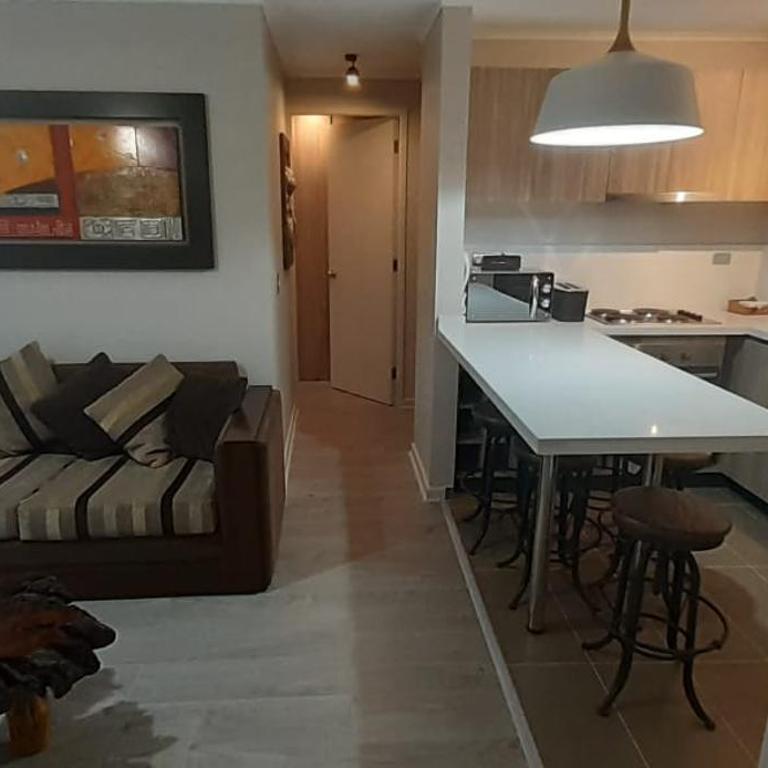 Exceptional Deluxe Apartment Pucon near Lake and Volcano - Apartamento de 2 dormitorios - 12