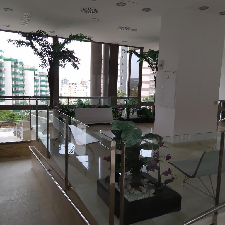 Jolie Appartement Torre Maestral La cala Finestrat Benidorm - Apartment mit 1 Schlafzimmer - 1