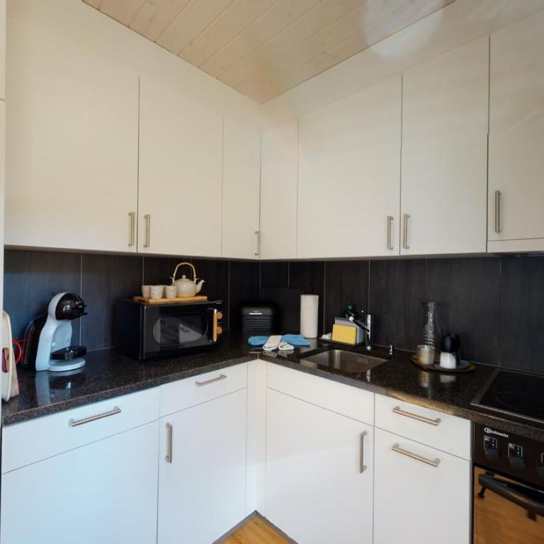 Aletsch Arena - modern and bright 2 bedroom apartment - Apartment mit 2 Schlafzimmern - 8