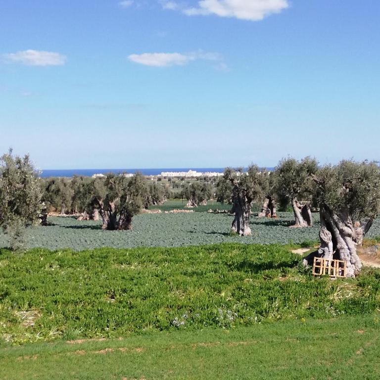 Masseria Ricci - Appartamento - Piano Terra - 15