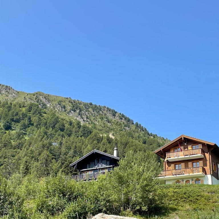 Chalet Michele Alpage - Ferienhaus - 71