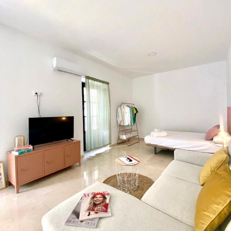Apartamentos - Alameda - Apartamento Estudio - 1