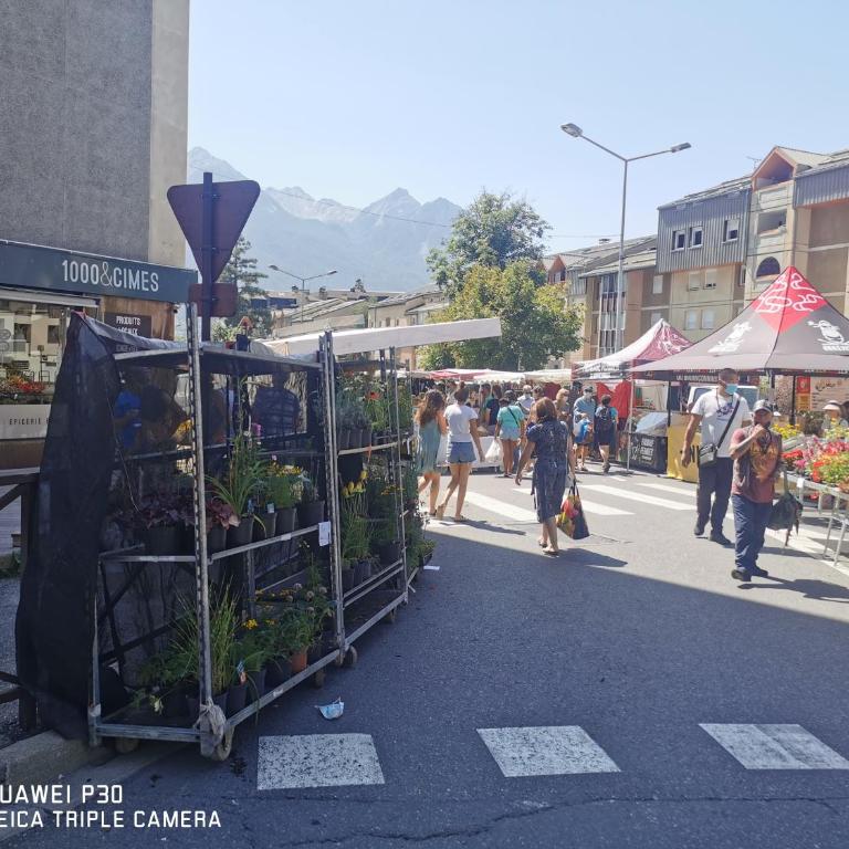 T2 Cosy Balcon & Parking 800m pistes Fibre & Netflix - Appartement 1 Chambre - 22