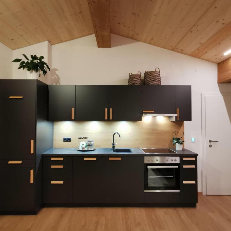 Naturhaus Netzer - Appartamento con 2 Camere da Letto e con Doccia - 3