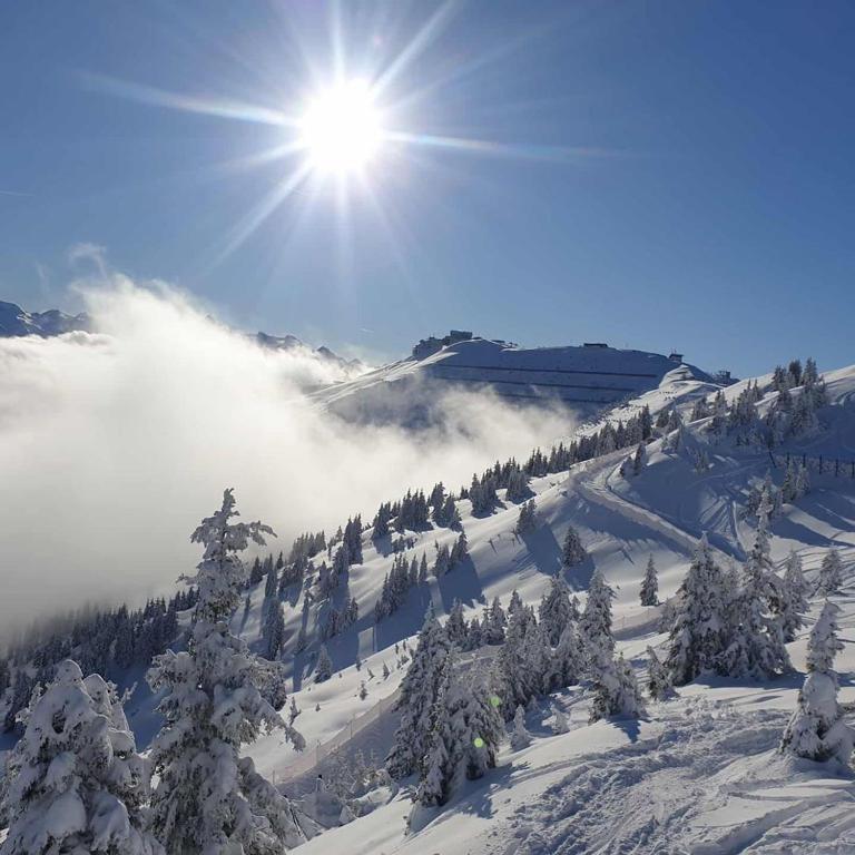 Luxury Chalet Mauthner Alm - Haus mit 4 Schlafzimmern - 23
