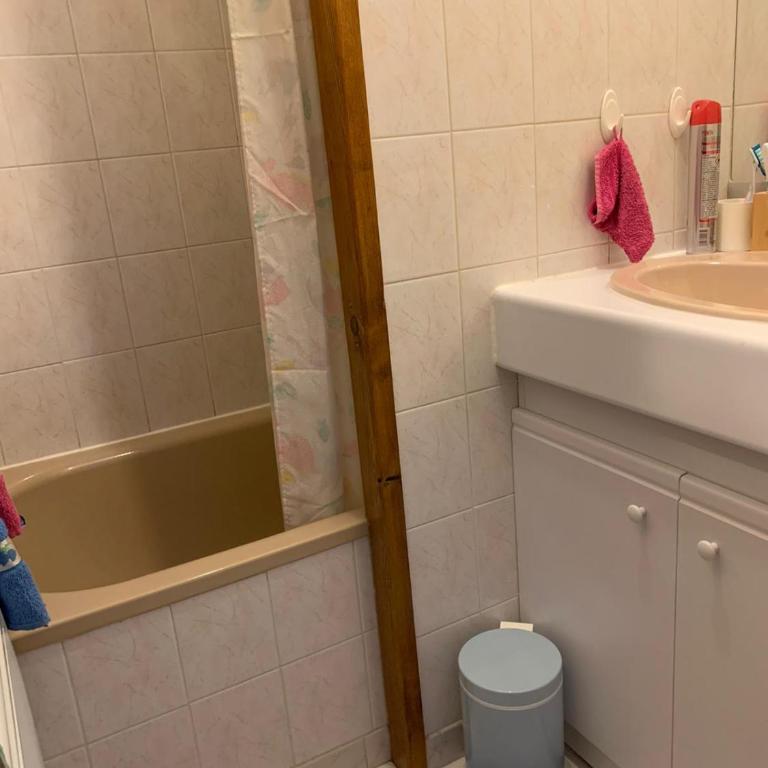 Studio Embrun à 10 mn à pied plan d eau de 2 à 4 personnes sans linge de lit ni serviettes situé 3 chemin de chadenas - Appartement avec Vue sur la Montagne - 3