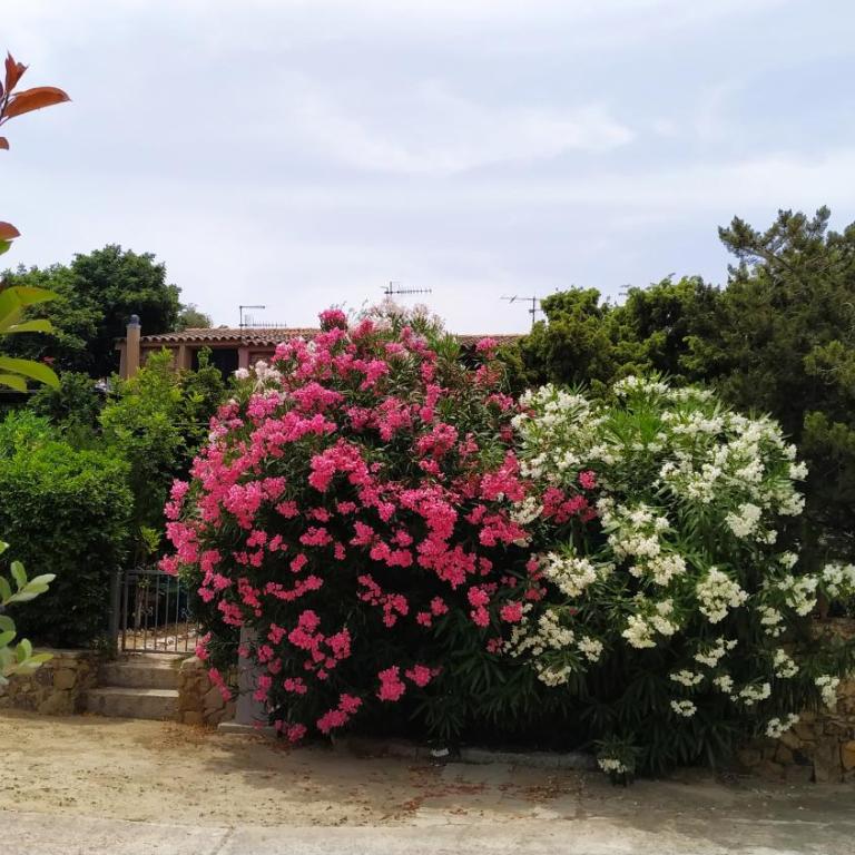 Villa Milena Villasimius, WiFi gratuito, Ampio Giardino a 300 m dal Mare - Two-Bedroom Townhouse - 34