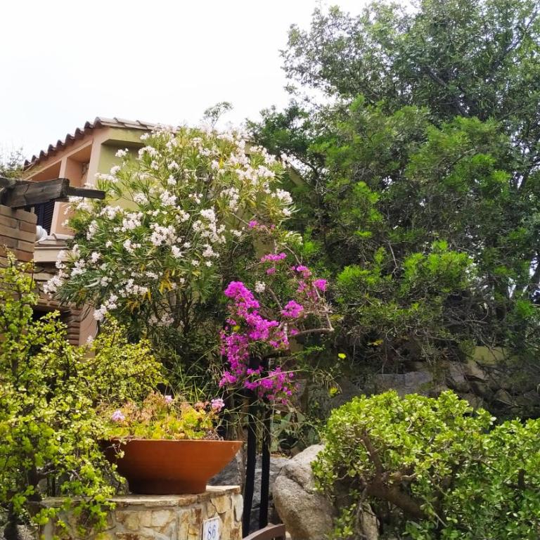 Villa Milena Villasimius, WiFi gratuito, Ampio Giardino a 300 m dal Mare - Two-Bedroom Townhouse - 27
