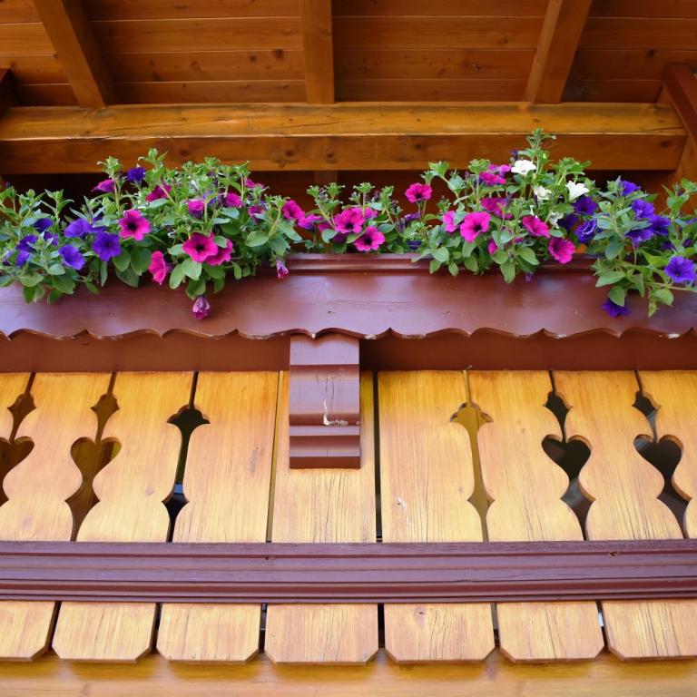 Ferienwohnung Saalbach Fieberbrunn - Studio with balcony TOP 5 - 4