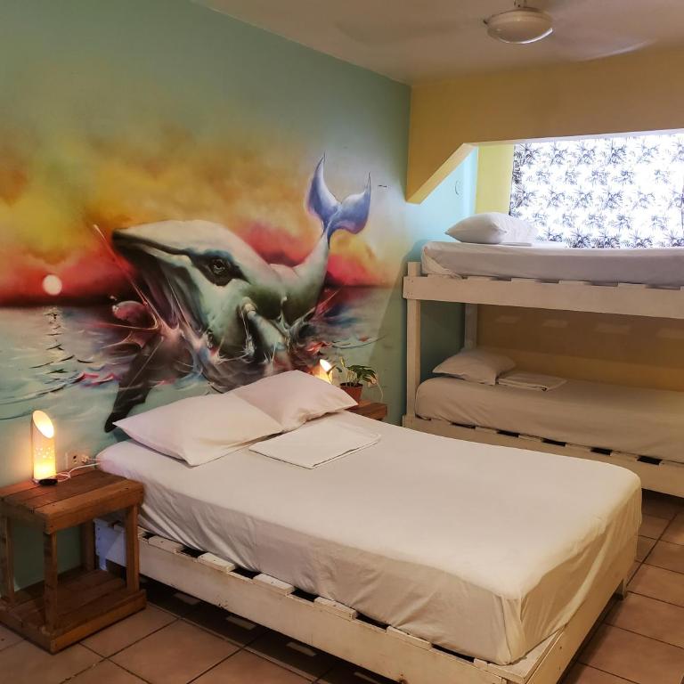 Tres Mundos Hostel - Quadruple Room with Private Bathroom - 1