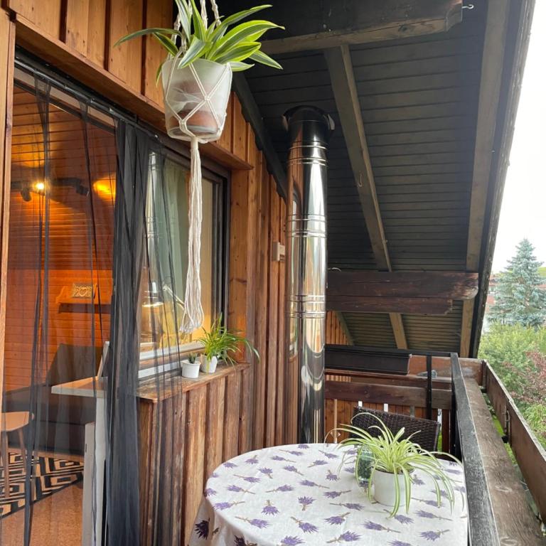 Roof Heaven Ferienwohnung - Studio-Apartment - 12