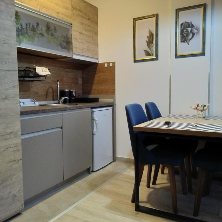 Okili apartman S11 Milmari resort Kopaonik - Apartment with Mountain View - 5