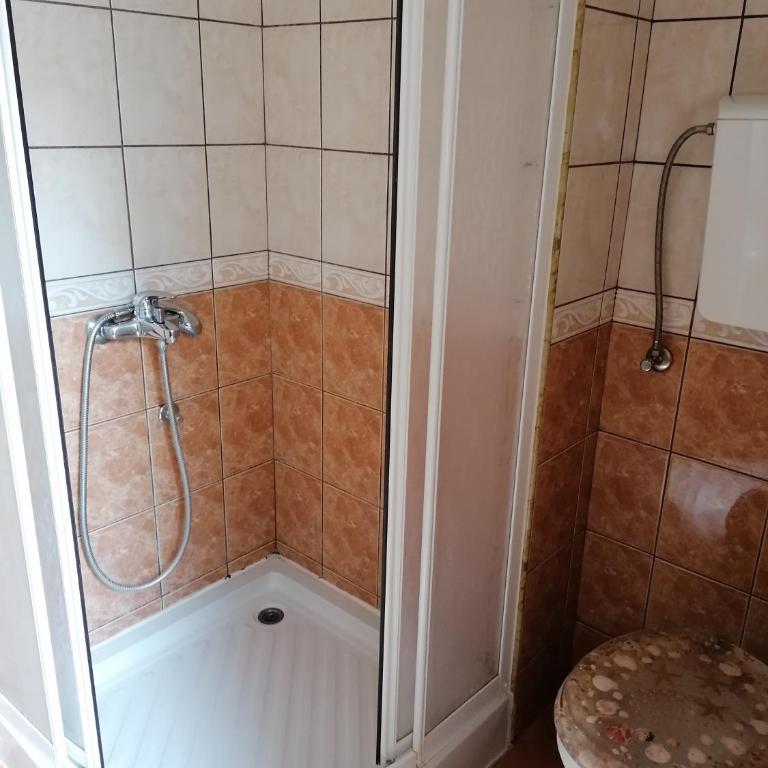 Vila Simic - Vila - 11