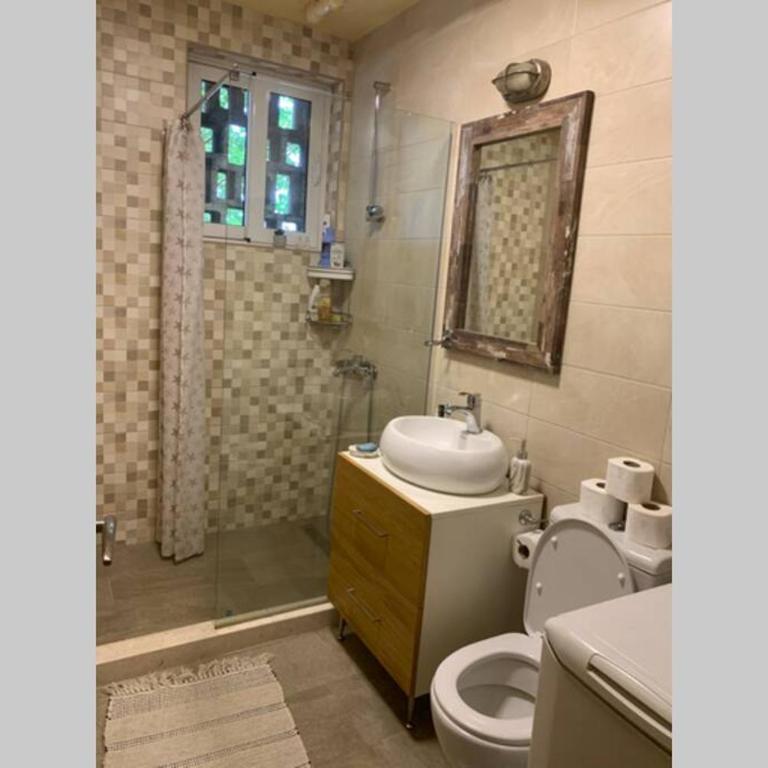 Cute, spacious apt in the heart of the old town - One-Bedroom Apartment - 15