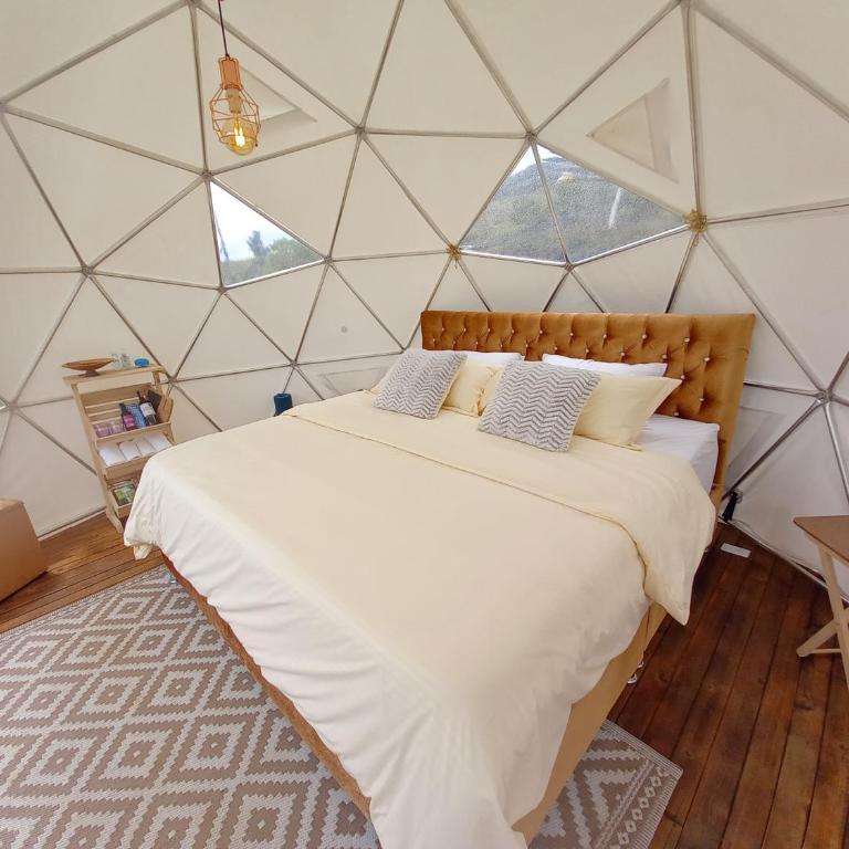 Andes Glamping - Tienda - 7