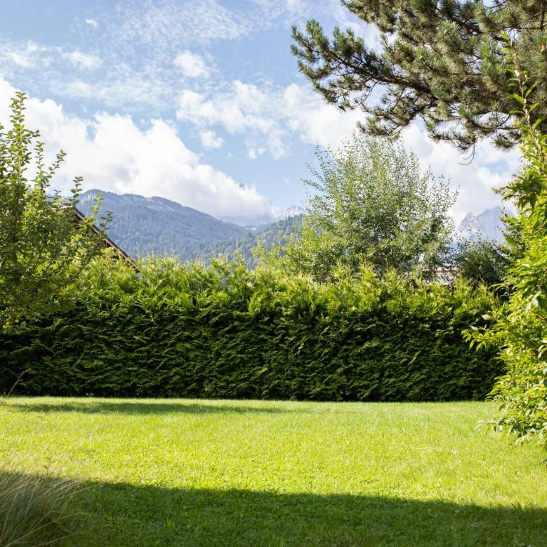 Alpenzauber - Appartamento con Vista Montagna - 45