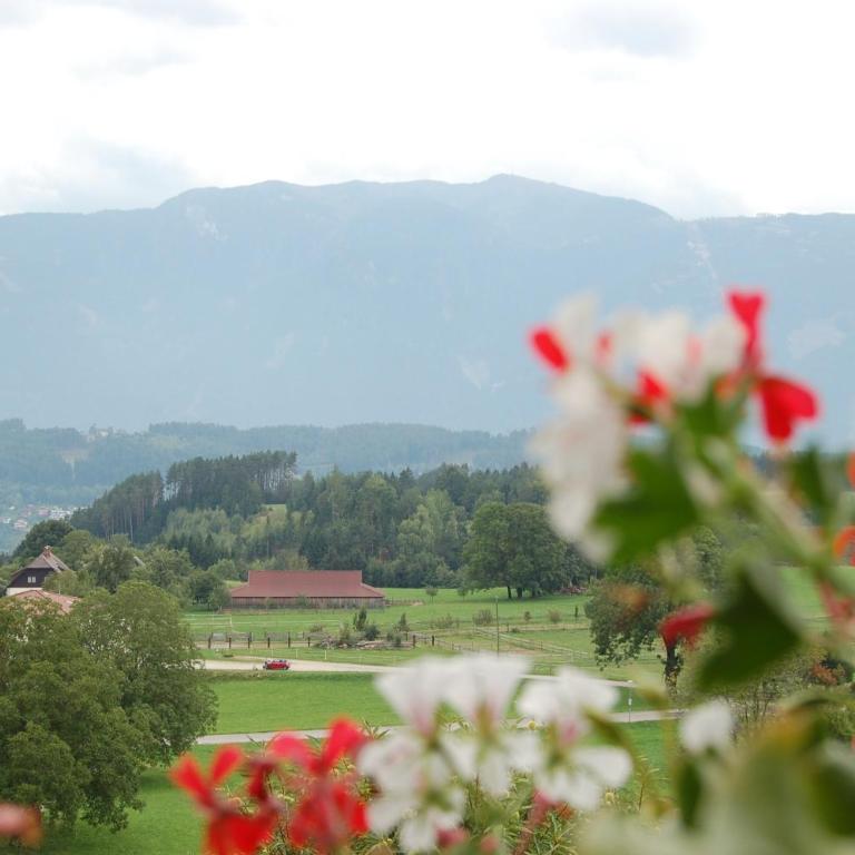 Sommereck Appartements - Appartement avec Vue sur la Montagne - 8