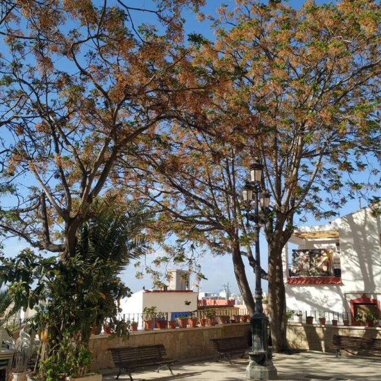 San Antonio villa - Two-Bedroom House - 16