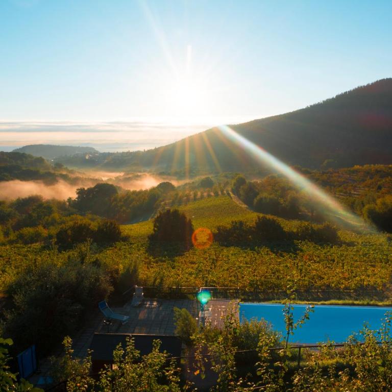 Tuscan Relais Il Serraglio - Villa con 2 Camere da Letto - 17
