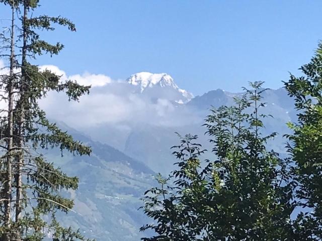 Montchavin Les Côtes vue Mont-Blanc - Apartment mit 1 Schlafzimmer - 12