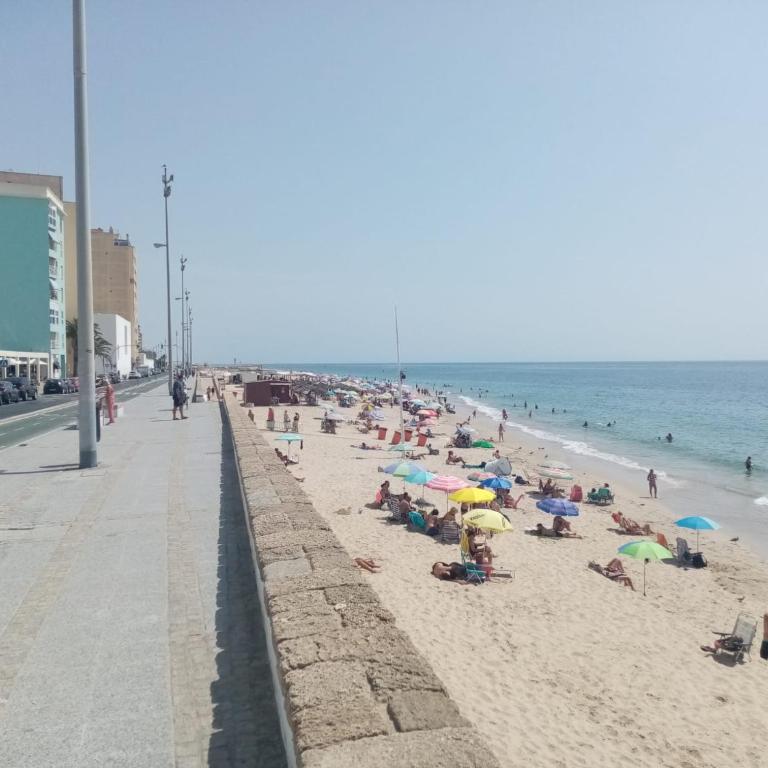 Paseo marítimo de Cádiz - Apartamento de 3 dormitorios - 1