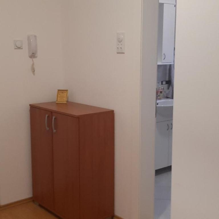 Apartman Andjela - Apartman sa 1 Spavaćom Sobom - 16