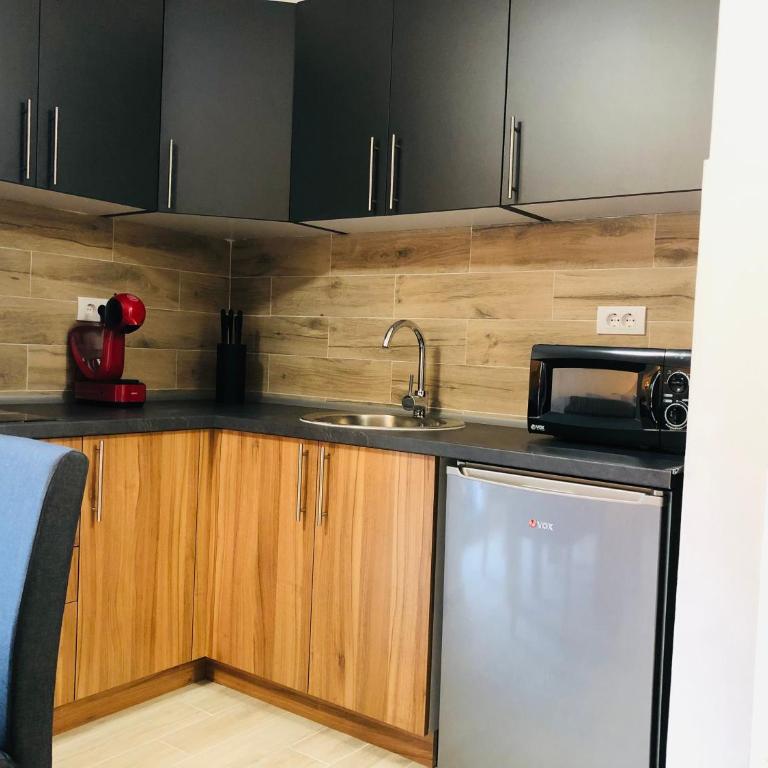 Masha Apartment - Apartman sa 1 Spavaćom Sobom - 10