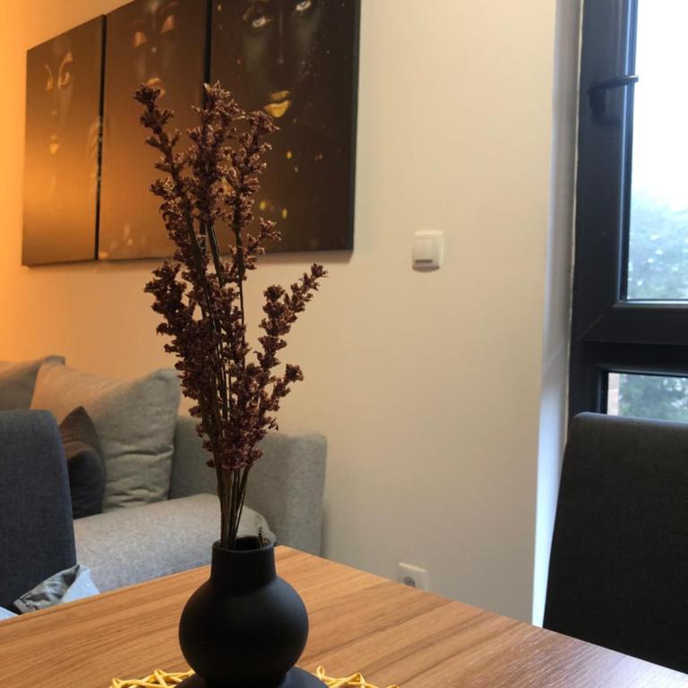Masha Apartment - Apartman sa 1 Spavaćom Sobom - 26