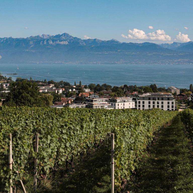 Les Volets Bleus - Apartment mit 3 Schlafzimmern - 25