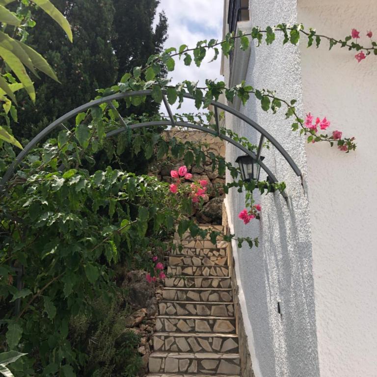 Villa Luz del Monte - Villa con piscina privada - 20