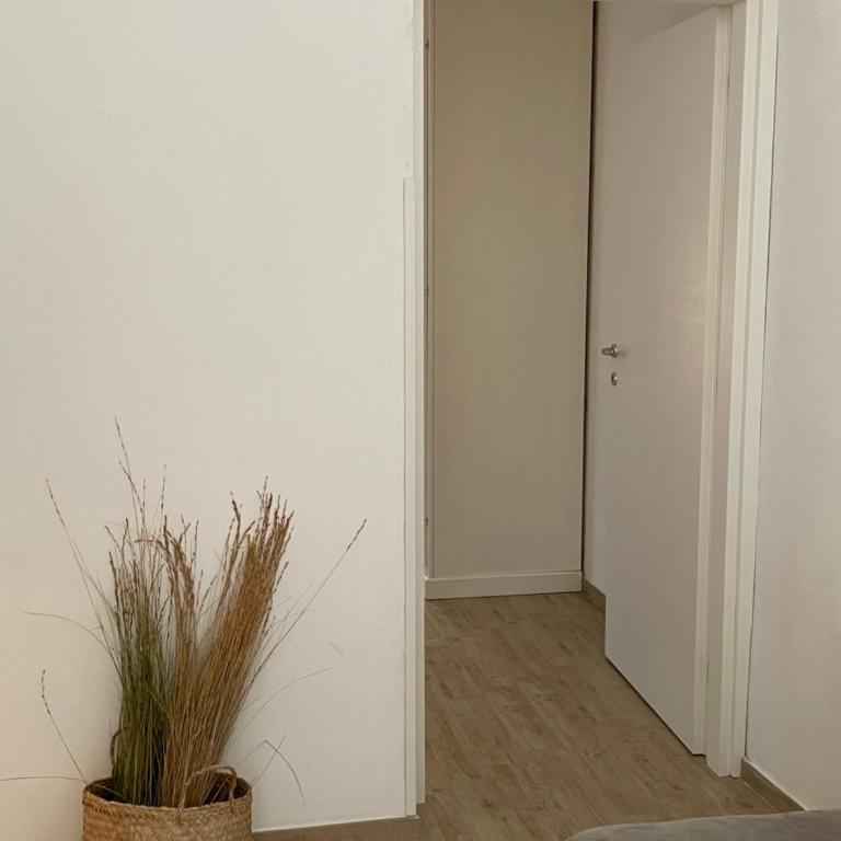 Il Cortiletto - One-Bedroom Apartment - 9