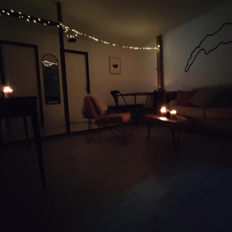 Appartement Hyper Centre Evian - Leman Odyssey - Apartamento de 2 dormitorios - 30