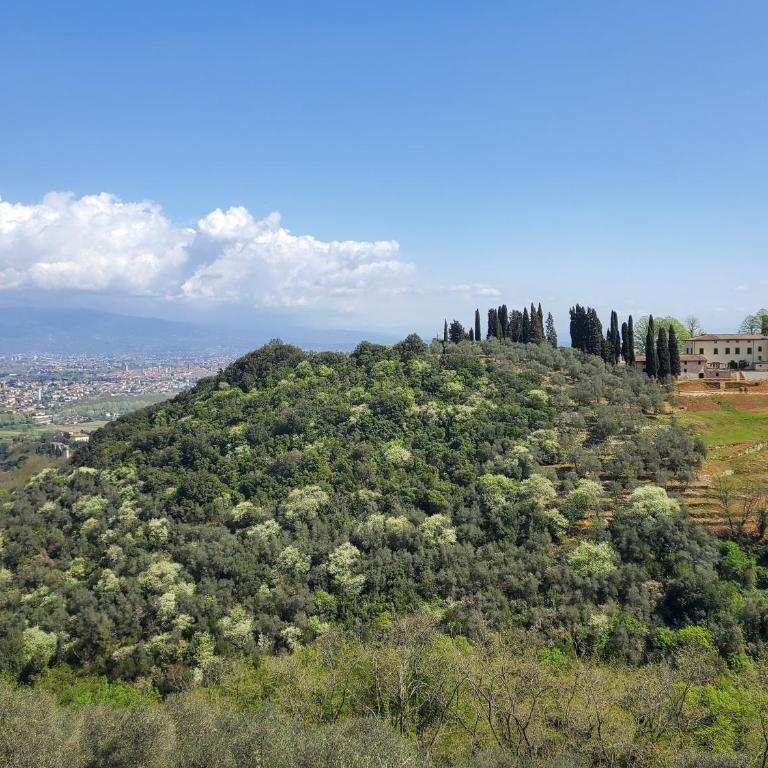 VILLETTA FARFALLINA "The unique property in the world with an openable roof" - Casa con 3 Camere da Letto - 31