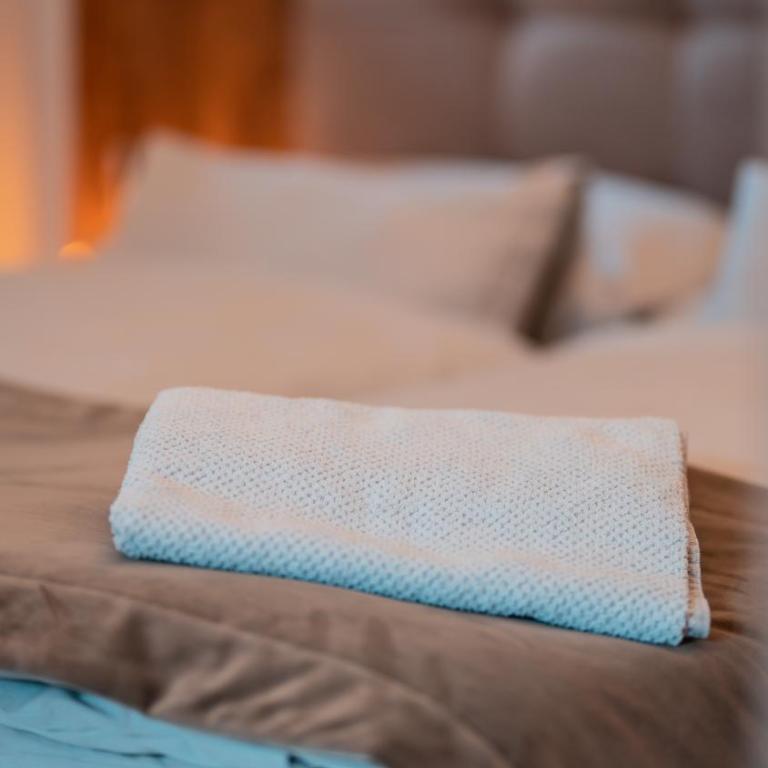 Apartments, Guest House & historic Chalet Neuhaus - Chalet con 1 Camera da Letto - 17