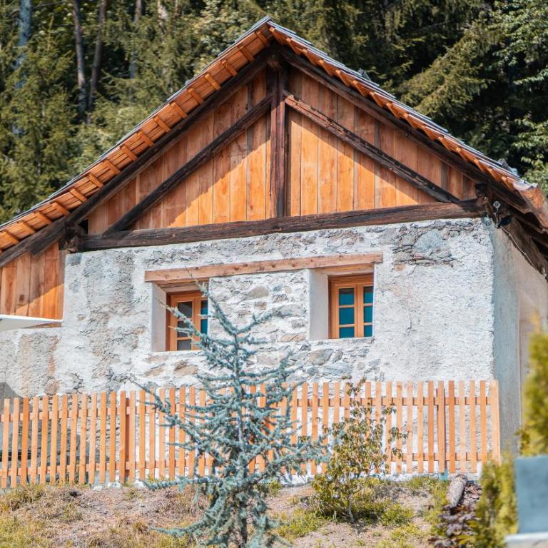Apartments, Guest House & historic Chalet Neuhaus - Chalet con 1 Camera da Letto - 6