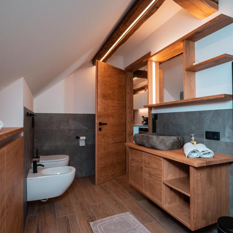 Apartments, Guest House & historic Chalet Neuhaus - Appartamento con 1 Camera da Letto e Vista Montagna - 8
