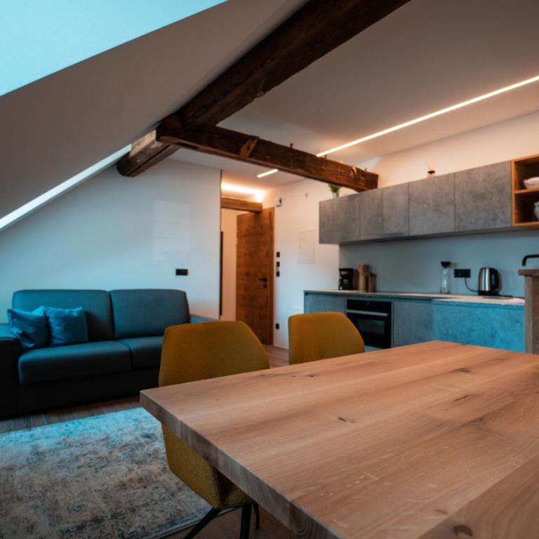Apartments, Guest House & historic Chalet Neuhaus - Appartamento Deluxe - 9