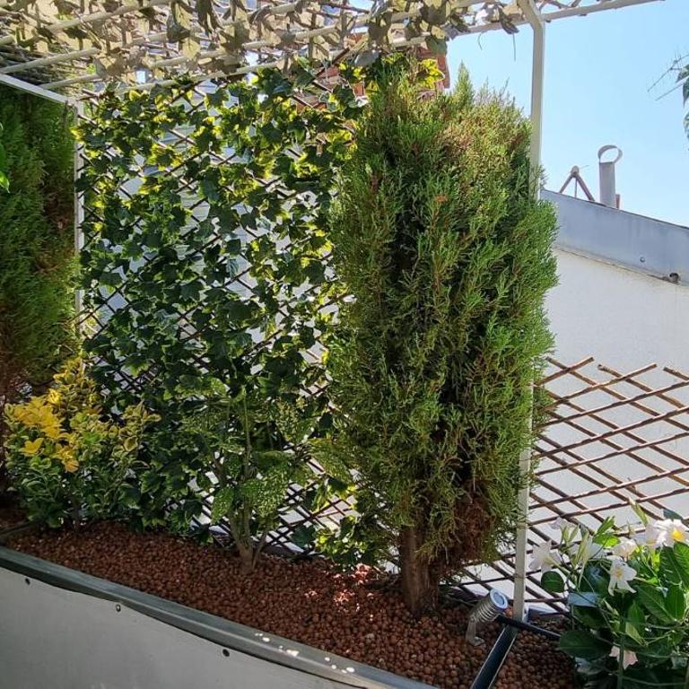 R.D.V. Duplex Nice Center - Appartement en Duplex - 13