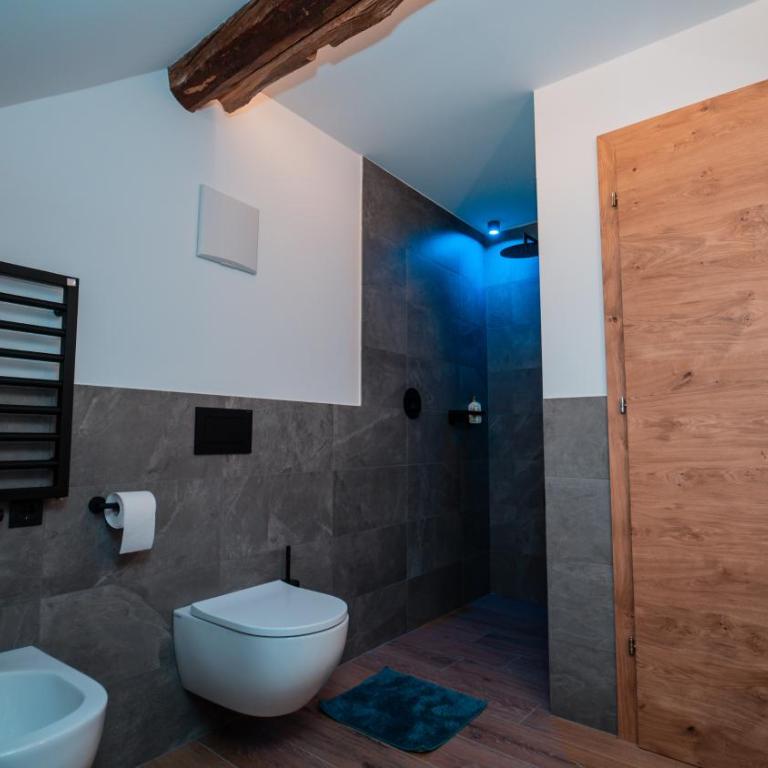 Apartments, Guest House & historic Chalet Neuhaus - Appartamento Deluxe - 24