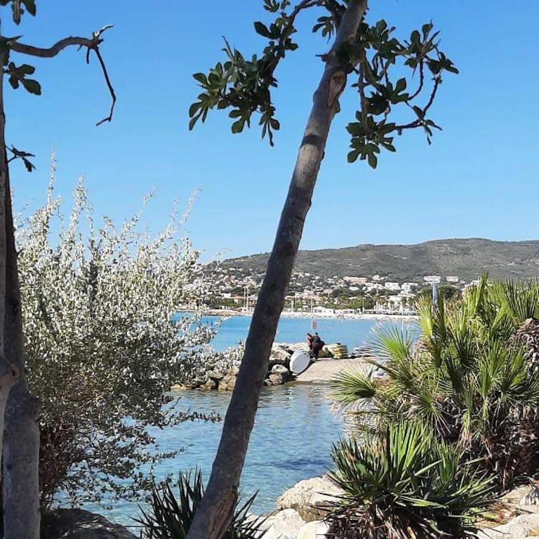 Residence Provence plage - One-Bedroom Apartment - 24