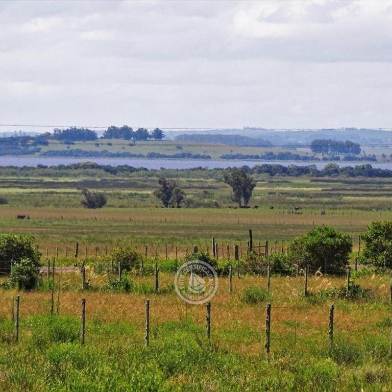 Casa de campo cerca del Cabo - Two-Bedroom Chalet - 6
