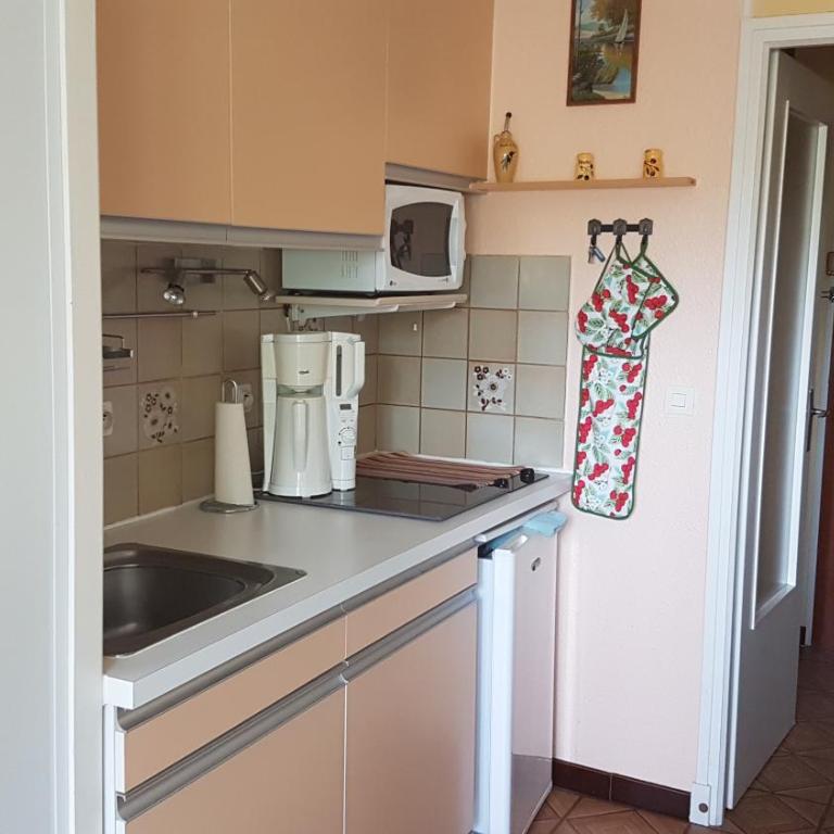 Joli studio de 26 m² avec véranda de 6 m² calme et vue sur montagne - Apartamento de 1 dormitorio - 2