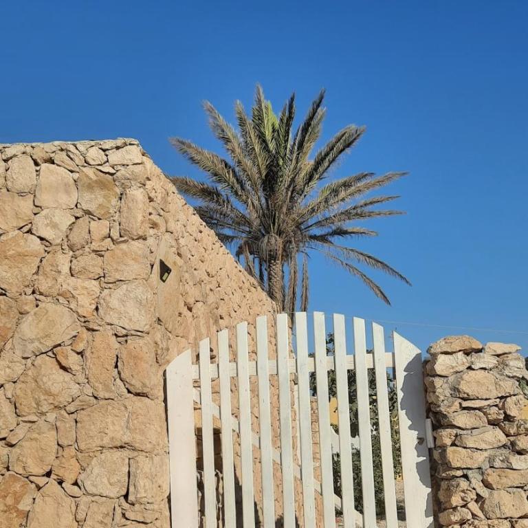 Casa Vacanza Delfino Rosa - Casa Vacanze - 7