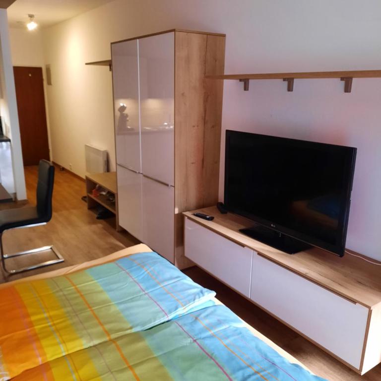 Appartement am Ossiachersee - One-Bedroom Apartment - 5
