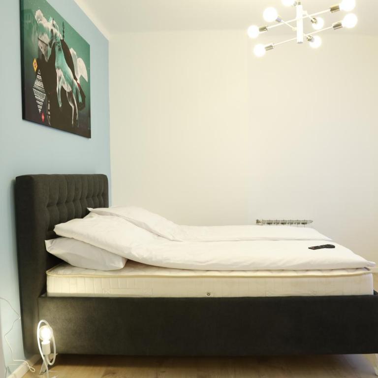 Blue and Rose Cozy - Quiet in the Best Location - Self Check-in - 5th Floor with Elevator - Apartment - 13
