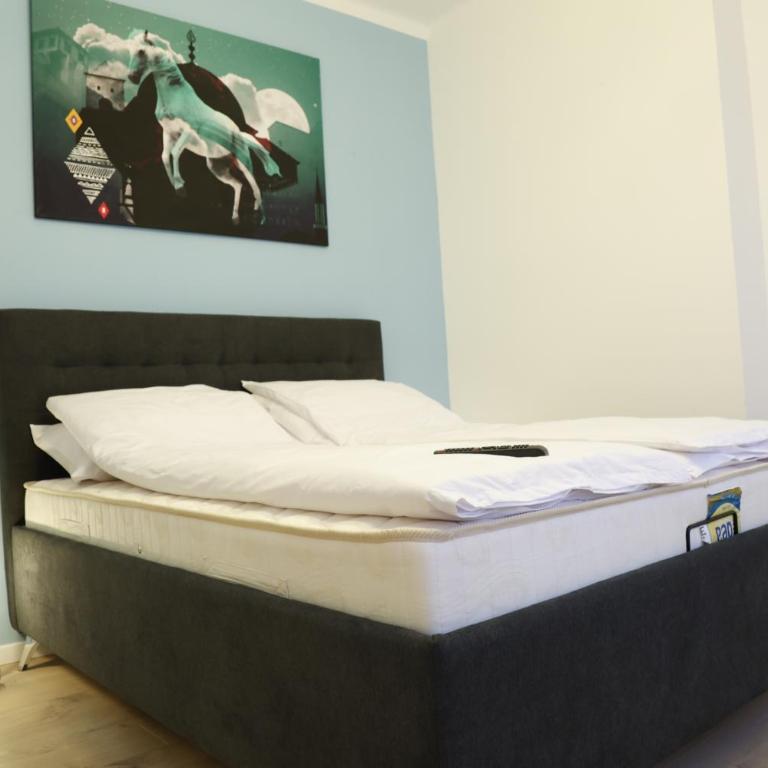 Blue and Rose Cozy - Quiet in the Best Location - Self Check-in - 5th Floor with Elevator - Apartment - 5